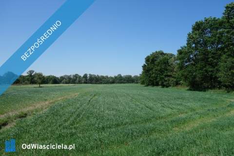 Skoczów Ochaby 57ar pod lasem pod rekreacje altanke kamping