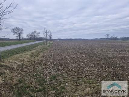 Działka Idealna Pod Farmę Fotowoltaiczną