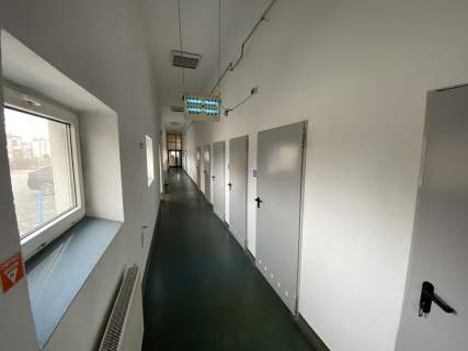 20 km od Poznania - produkcja, magazyn, handel