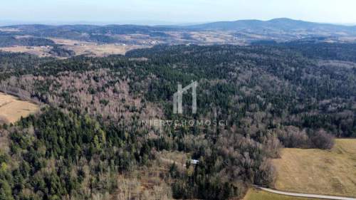 DUŻY LAS JODŁOWO-BUKOWY W SZERZYNACH 4,90HA