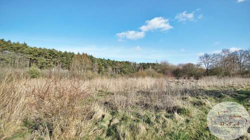 Działki pod lasem 4826 m Łódź 6 km Stęszew WPN