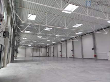 Magazyn biuro brama witryna 210-800m2