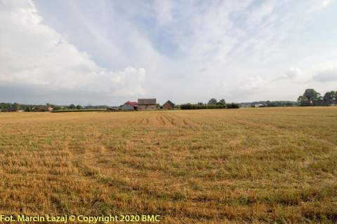Działka letniskowa Pawełki 1293m2