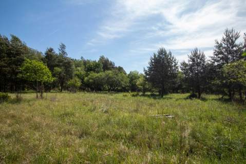 Działka pod zabudowę wielorodzinna Kalety 2875m2