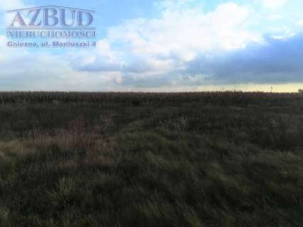 Działka siedliskowa na sprzedaż, 2681 m2, Gniezno