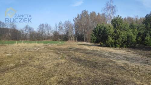 Sprzedam działki budowlano-usługowe w Lubiejewie