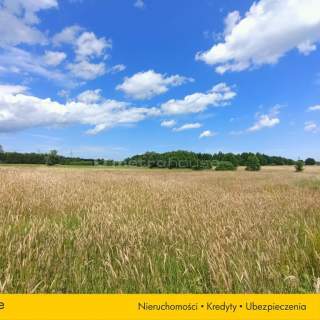 Dom z dużą działką w Pieńkówku 22km od morza.