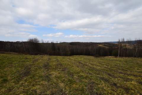 Działka z WZ - Błażowa Dolna