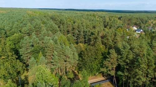Działka budowlano leśna Kamińsko 8283m2