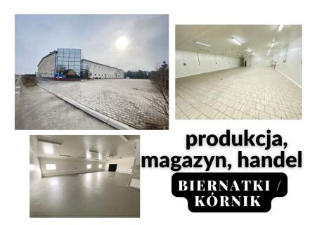20 km od Poznania - produkcja, magazyn, handel