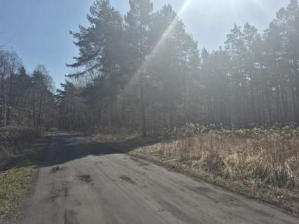 prywatny las, wz - dom jednorodzinny, droga gminna