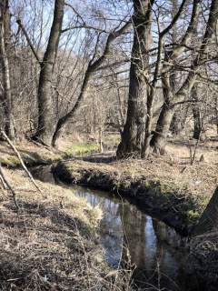 Żywiec - teren zieleni położony nad strumykiem