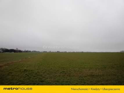 Działka na sprzedaż, 39500 m2, Emolinek