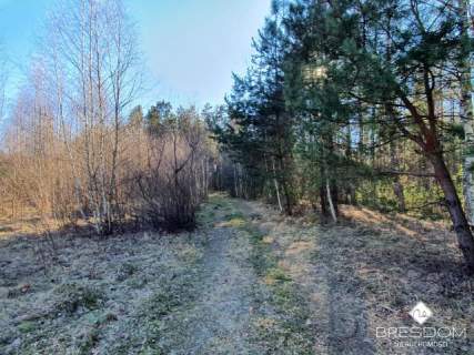 Działki nad jeziorem Maróz