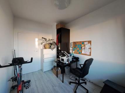 Okolice ul. Lipowej Glamour/Lux/Ogród