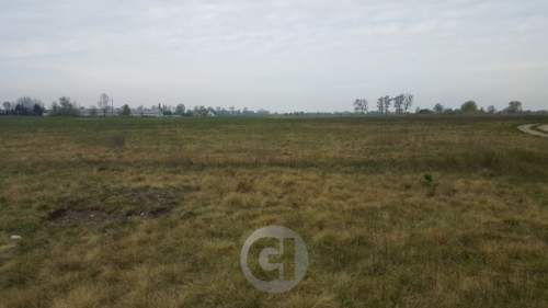 ATRAKCYJNA DZIAŁKA PRZY ZALEWIE W DZIERŻOWIE 