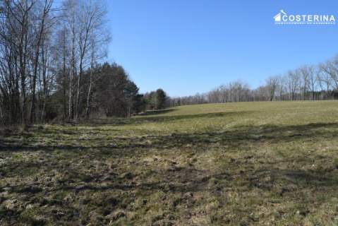 Działki letniskowe na sprzedaż Liniewo, Kaszuby Tylko w Costerina