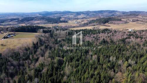 DUŻY LAS JODŁOWO-BUKOWY W SZERZYNACH 4,90HA