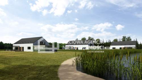 Działka rolna 11.811m2, Skrzeszewo Żuk.