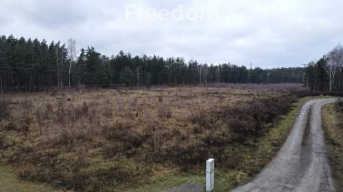 Działka przemysłowa 3Ha - pod mpzp Wola Paprotnia