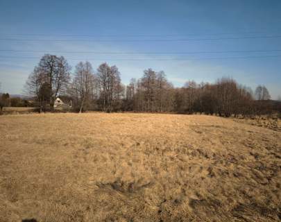 Żywiec - teren zieleni położony nad strumykiem