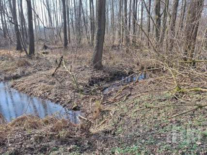Z linią brzegową rzeczki, bez bliskich sąsiadów
