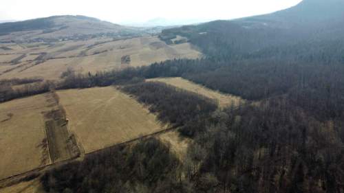 LAS OLCHOWY, PIELGRZYMKA, GM. OSIEK JASIELSKI, 1,65HA