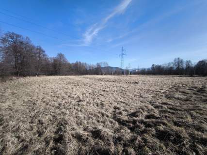 Żywiec - teren zieleni położony nad strumykiem
