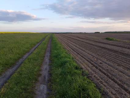 Sprzedam Działka Rolna Gliwice Ostropa Południe