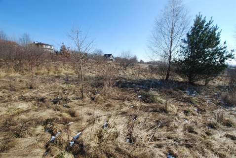 Działka 1000 m2 Mąchocice Kapitulne gm. Masłów
