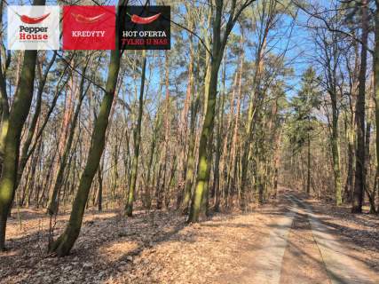 Zamieszkaj 3 km od Malborka, 3 min. Od rzeki Nogat