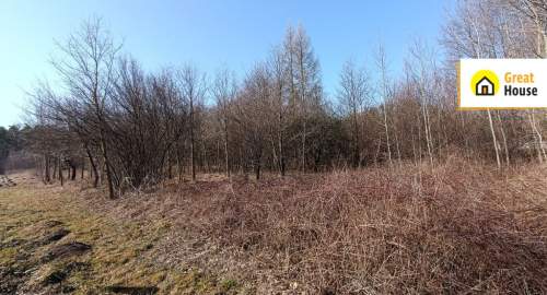 Dom z dużą działką 5774m2