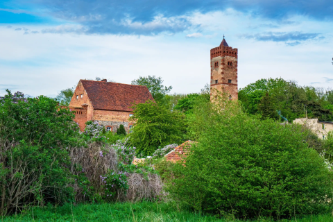 Sprzedam Dom Renice