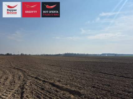 Zamieszkaj 3 km od Malborka, 3 min. Od rzeki Nogat