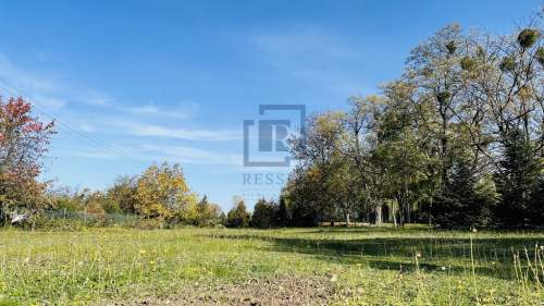 Piękna i wyjątkowa działka. Radwanice. 1400 m2