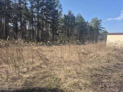 prywatny las, wz - dom jednorodzinny, droga gminna
