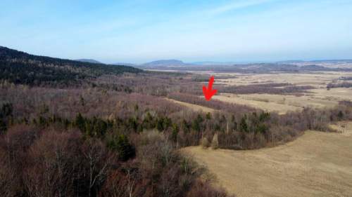 LAS OLCHOWY, PIELGRZYMKA, GM. OSIEK JASIELSKI, 1,65HA