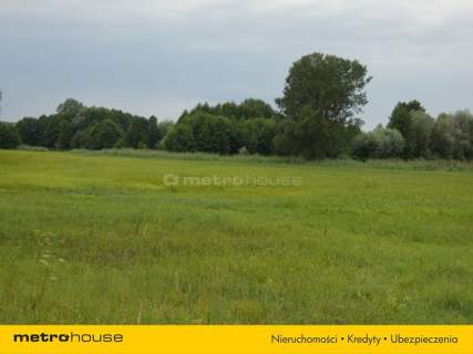 Działka siedliskowa na sprzedaż, 3000 m2, Secymin Polski