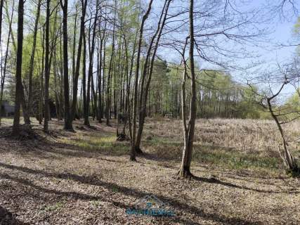 Działka budowlana na sprzedaż, 10904 m2, Anielin Swędowski