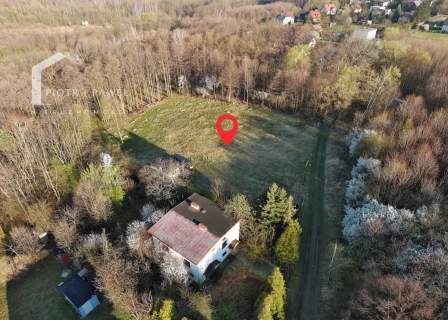 Zielona perełka na Twoj wymarzony projekt