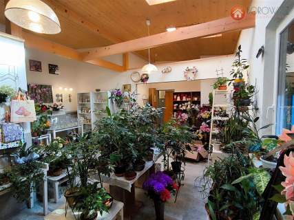Nieruchomość komercyjna na sprzedaż, 50,51 m2, Bielsko-Biała