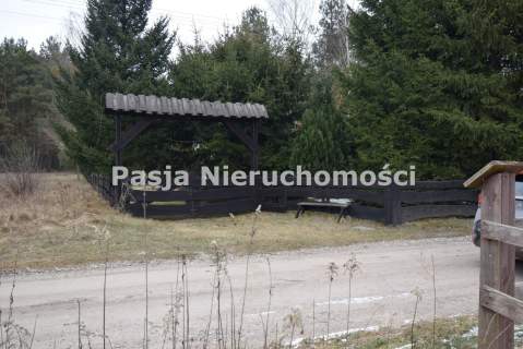 Siedlisko przy lesie