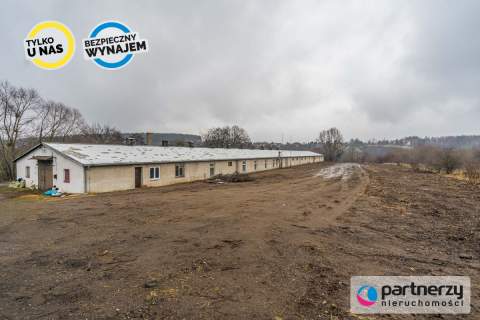 1430M2 hali na działce 8800M2 wysokość 3,12m