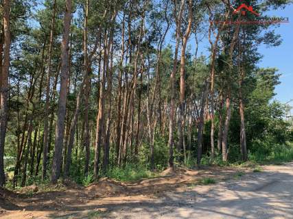 Nowe 3 działki w Złotorii