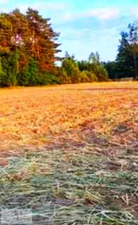Działka budowlana na sprzedaż, 1240 m2, Feliksów