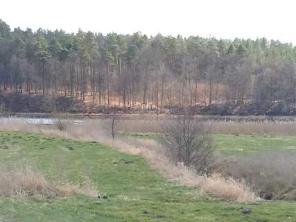 DZIAŁKA PRODUKCYJNO-USŁUGOWA NA SPRZEDAŻ - KOŚCIERZYNA, 1 HA,...