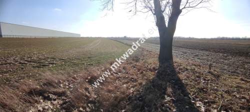 Błonie 9030m2 Powstańców MPZP-15MU Media