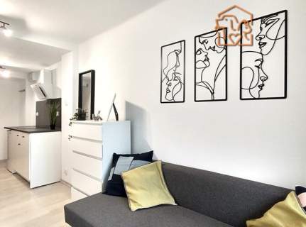 Studio pet-friendly, Słowackiego 11, Os. Centrum 