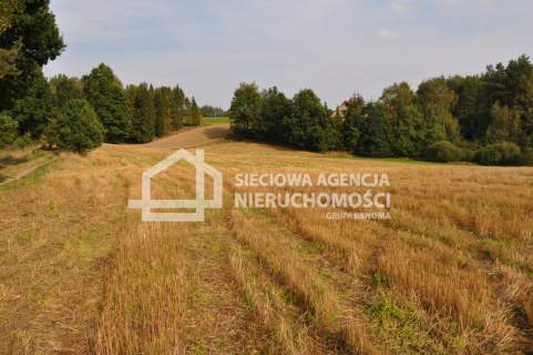 działka w Borku nad jeziorem Gowidlińskim