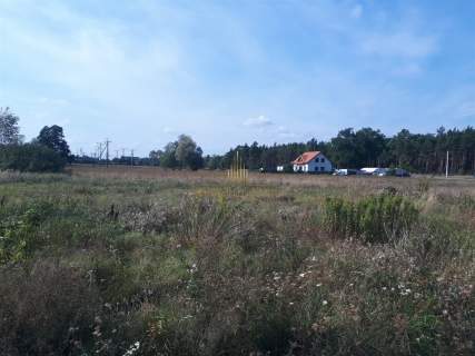 Działka na uboczu z pozowleniem na budowę 